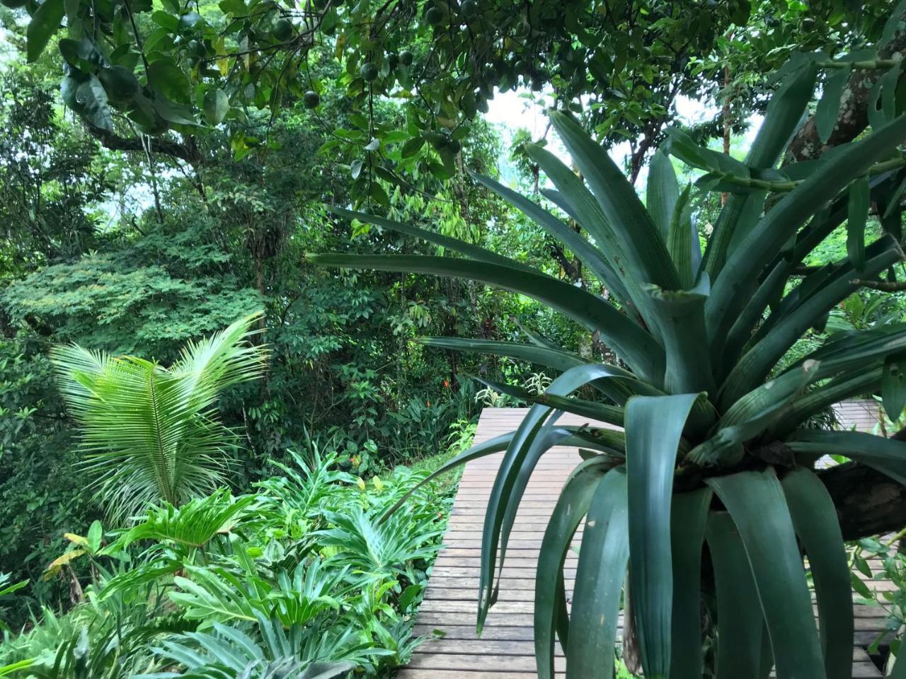 Pousada Rainforest House - Ilha Grande Eksteriør billede