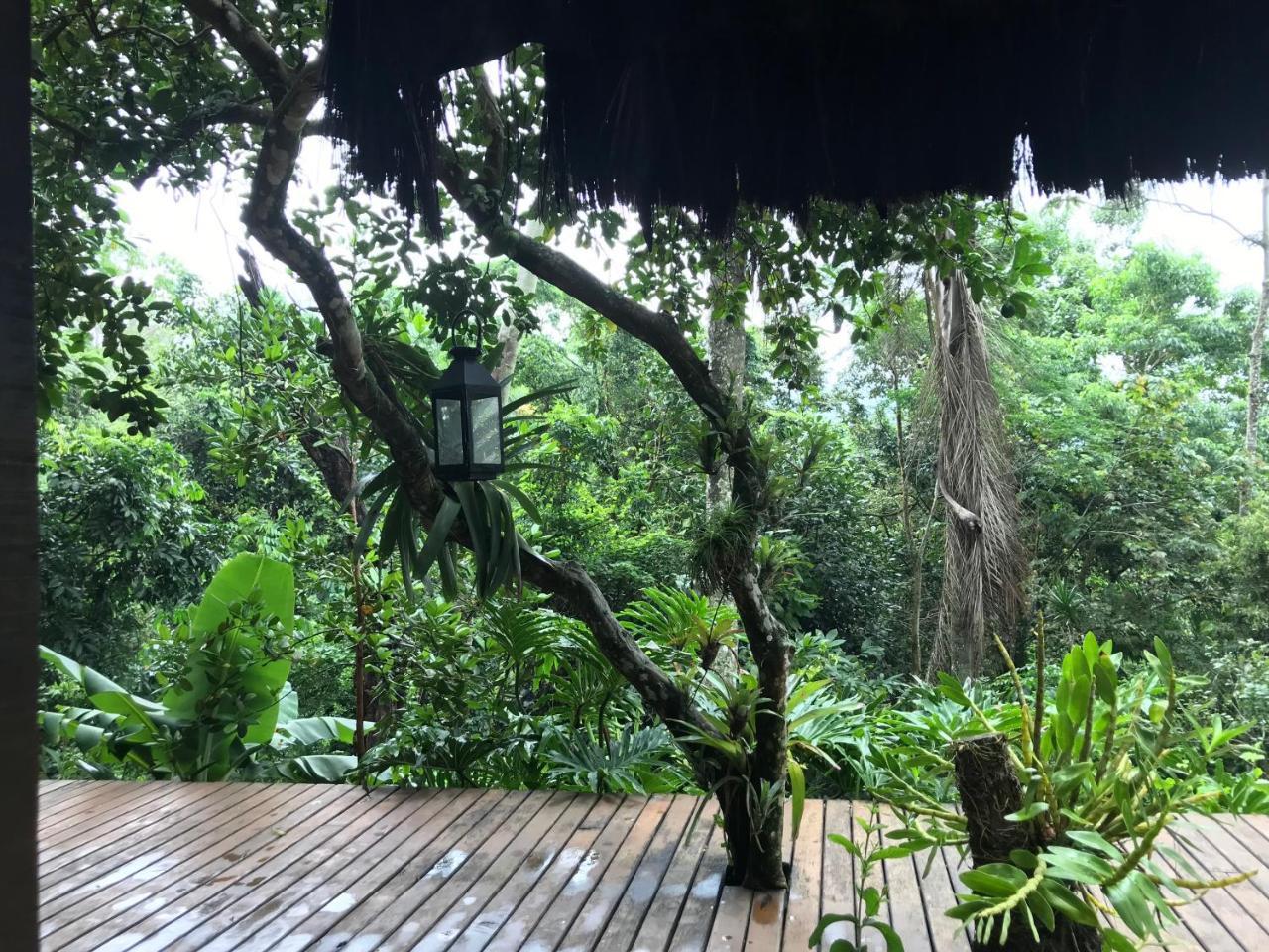Pousada Rainforest House - Ilha Grande Eksteriør billede