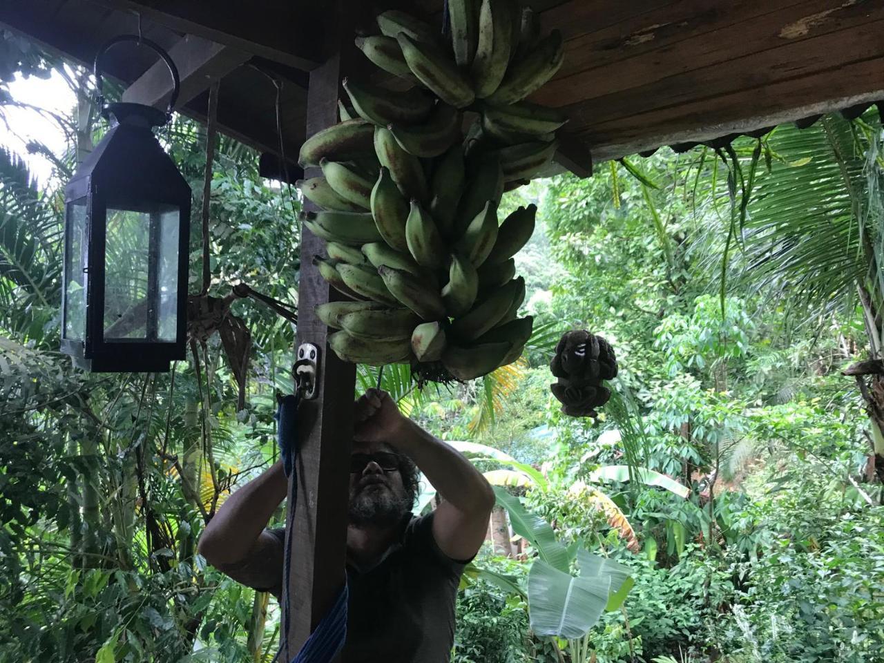 Pousada Rainforest House - Ilha Grande Eksteriør billede